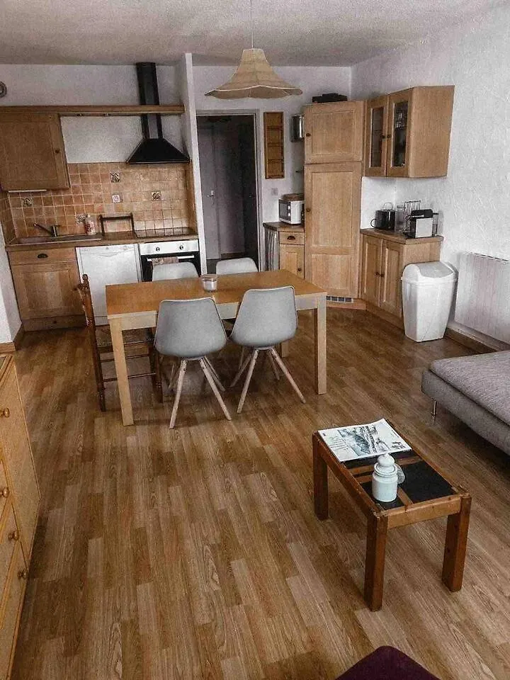 Cosy Appartement 50M From Slopes 6 People Les Deux Alpes 0*,  France