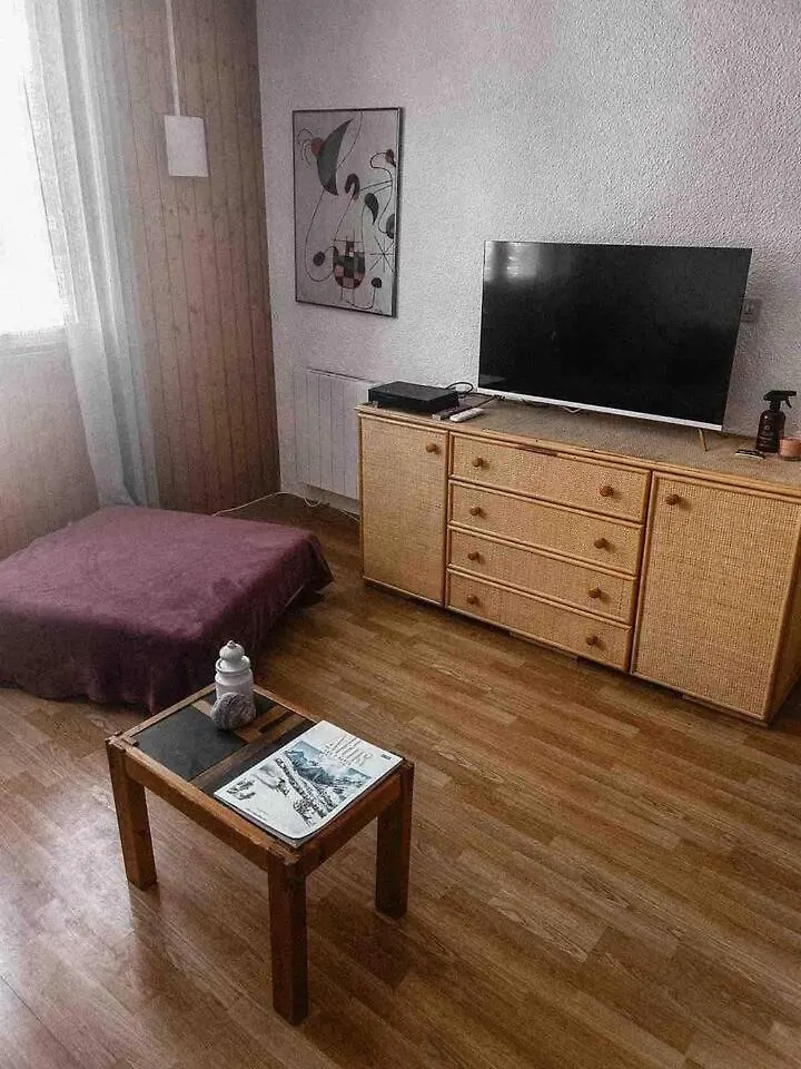 Cosy Appartement 50M From Slopes 6 People Les Deux Alpes Apartment